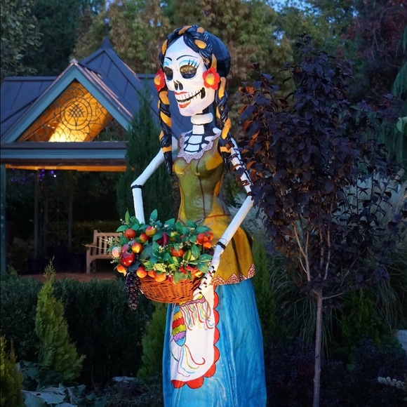 Meet your Posher, Dharma - Picture 6 of 7